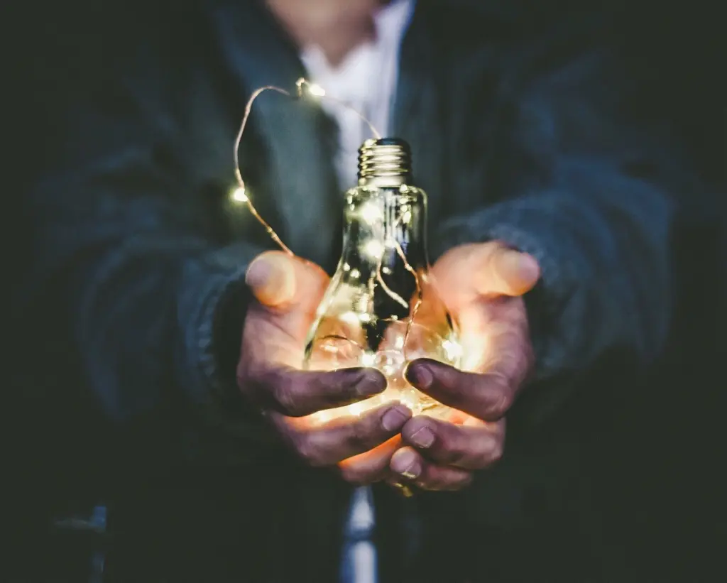 Regole per essere un buon imprenditore, trattenere le idee.