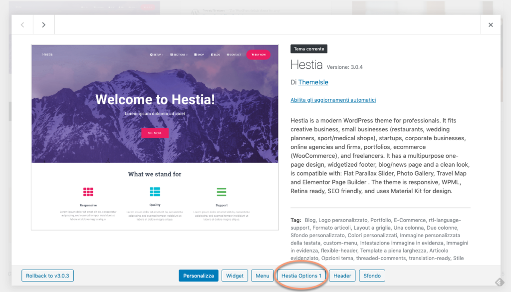 Come si usa WordPress - Info sul tema
