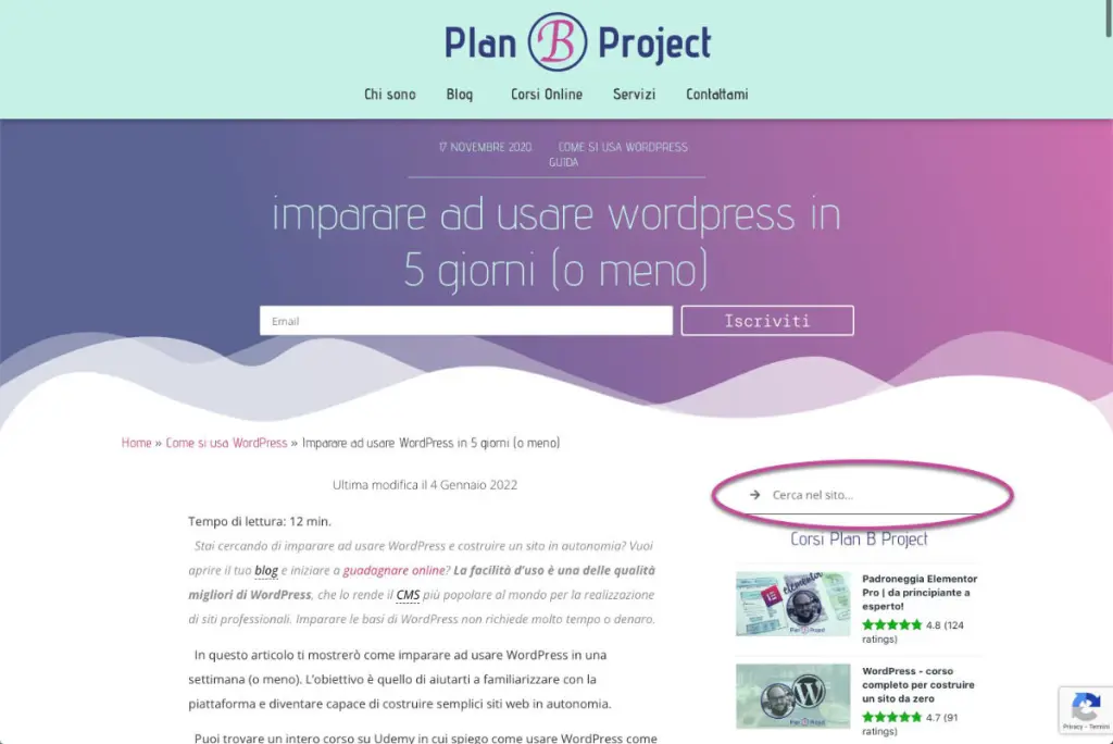 imparare ad usare wordpress search