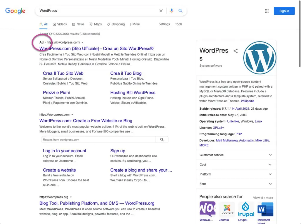 SEO vs PPC - una serp